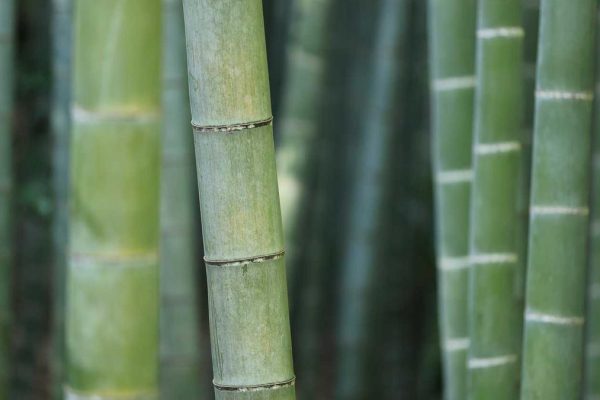 Industry Leaders Discuss Future of Airport & Lounge Tours