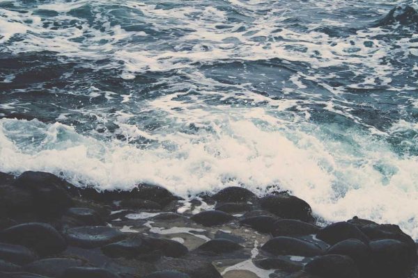 Industry Leaders Discuss Future of Cruise & Ferry Retail