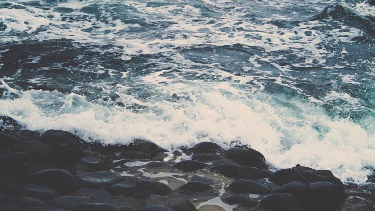 Industry Leaders Discuss Future of Cruise & Ferry Retail