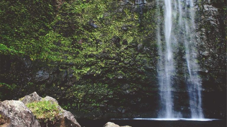 New Beauty & Fragrance Innovations Transform Travel Retail