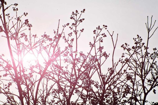 Strategic Partnership Boosts Lounges & Airport Hospitality Performance