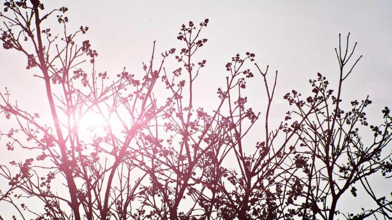 Strategic Partnership Boosts Lounges & Airport Hospitality Performance