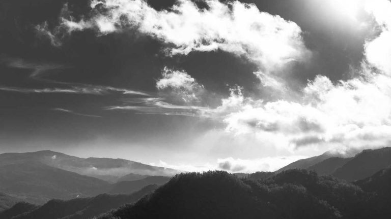 Deep Dive: Understanding Operator Insights Market Dynamics