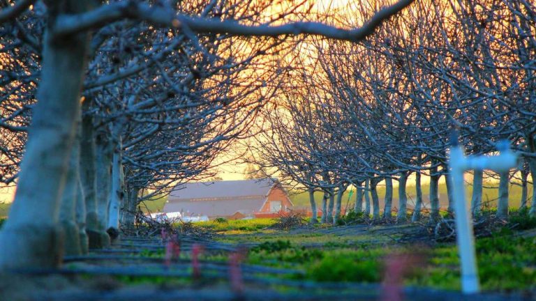 Dubai Airport Unveils Enhanced Bars, Restaurants & Cafés Experience