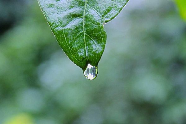 Dubai Travel Retail Reports Record Latest Travel Retail News Growth