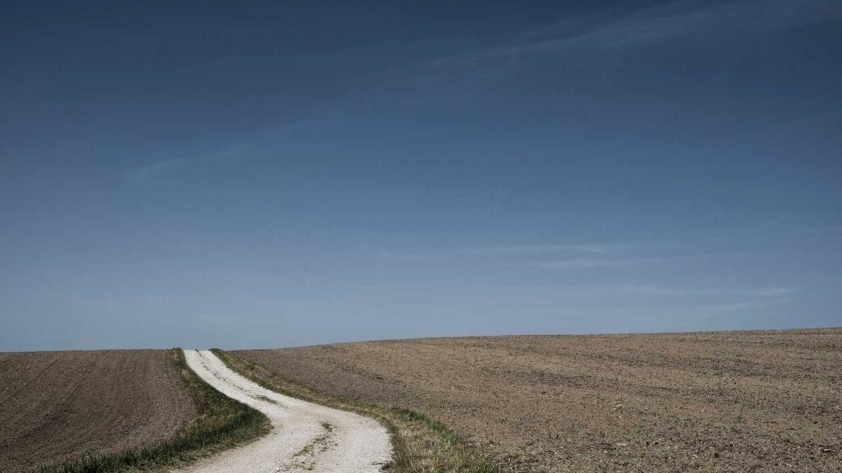 Industry Leaders Discuss Future of Annual Commercial Revenues