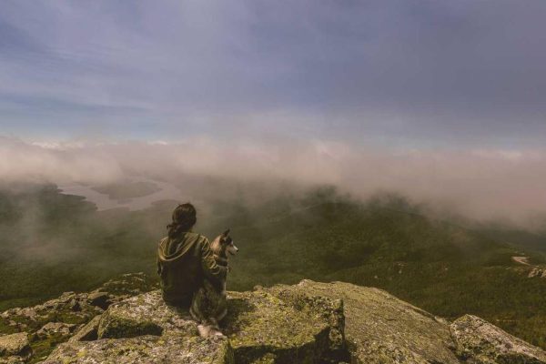 Industry Leaders Discuss Future of Digital Journeys & Omni-channel