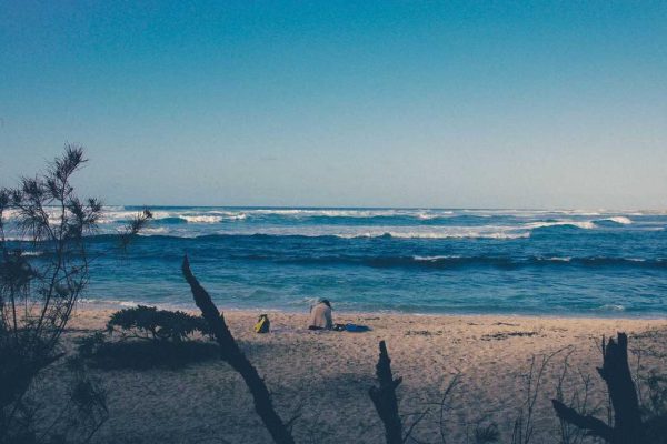 Industry Leaders Discuss Future of Pax Data & Traffic Trends