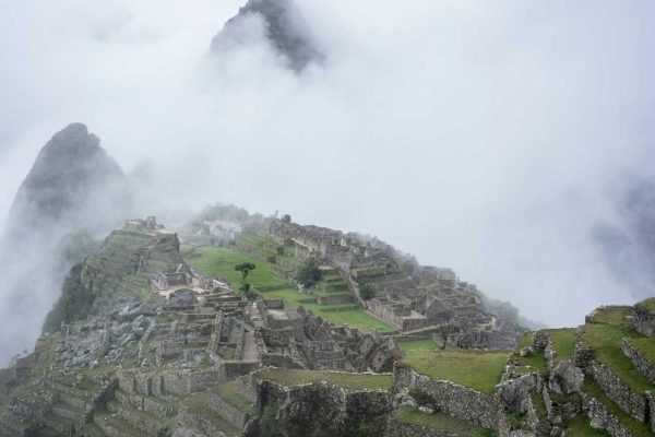 Industry Leaders Discuss Future of Pax Data & Traffic Trends