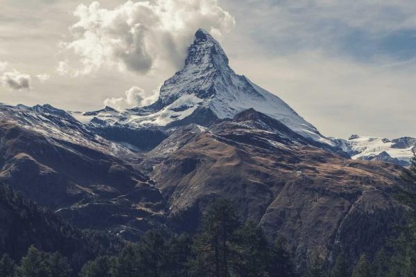 Industry Leaders Discuss Future of Short Videos & Reels