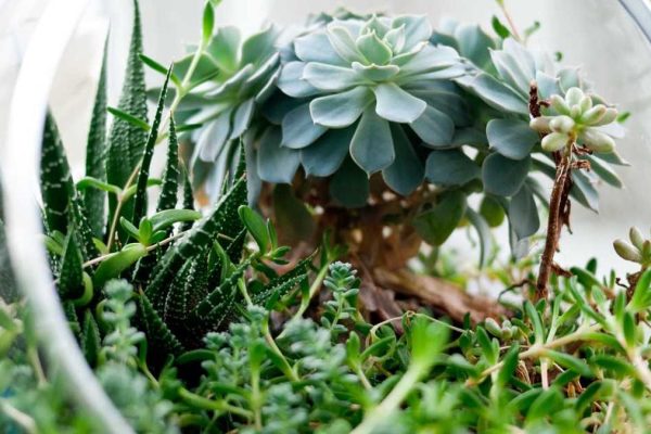 Industry Leaders Discuss Future of Visual Stories