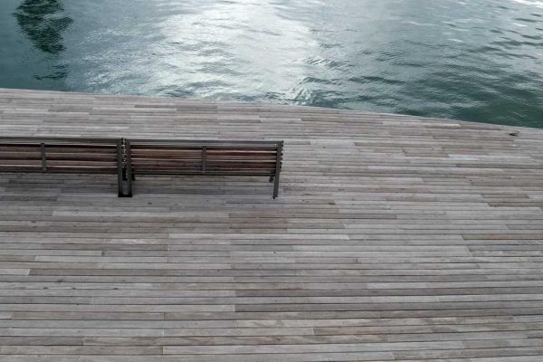 Industry Leaders Discuss Future of Visual Stories