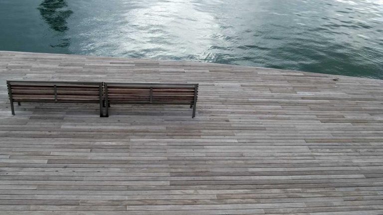 Industry Leaders Discuss Future of Visual Stories