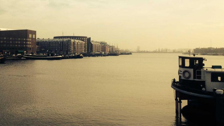 Market Trends: What’s Driving Operator Insights Growth