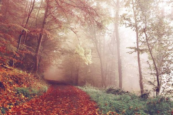 New Annual Commercial Revenues Innovations Transform Travel Retail