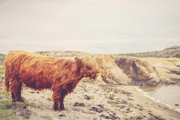 Seoul Incheon Airport Unveils Enhanced Store & Experience Galleries Experience