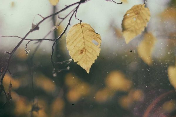 Breaking: Aer Rianta Announces Major Airport & Inflight News Initiative