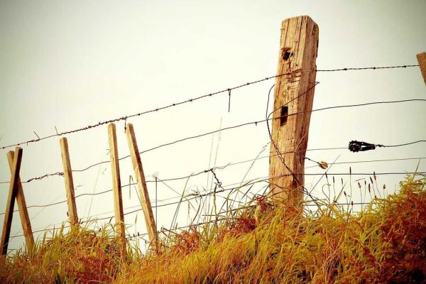 Breaking: DFS Announces Major Operator & Concession News Initiative