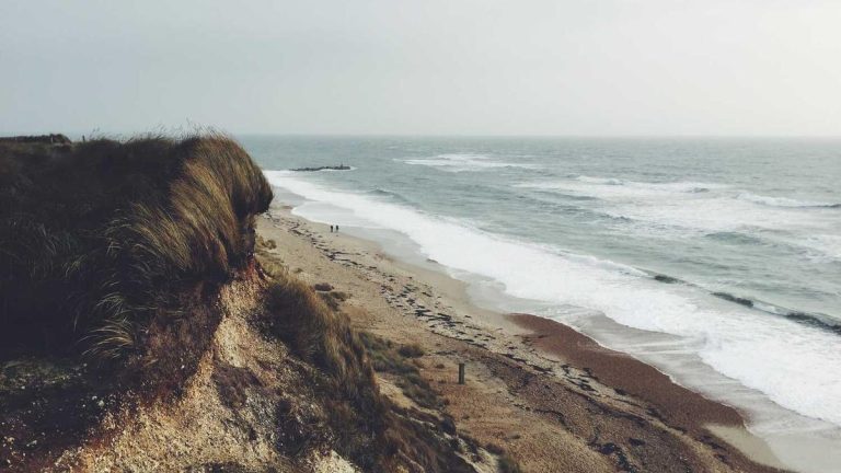 Industry Leaders Discuss Future of Accessibility & Inclusivity