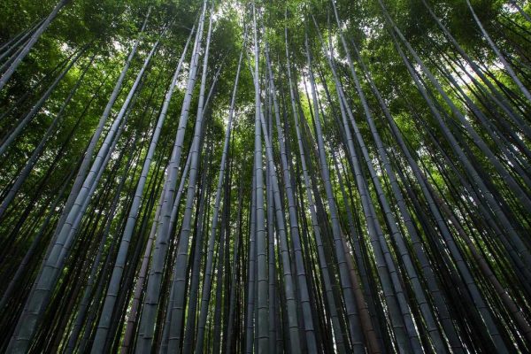 Industry Leaders Discuss Future of All Headlines