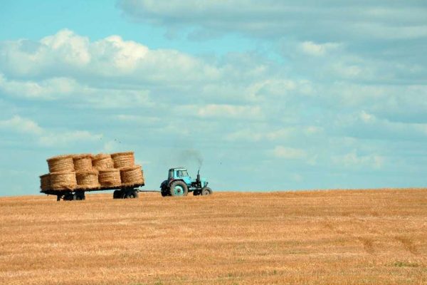 Industry Leaders Discuss Future of Downtown & Border Stores