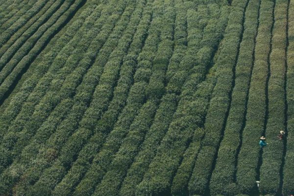 Industry Leaders Discuss Future of Editorials & Columns