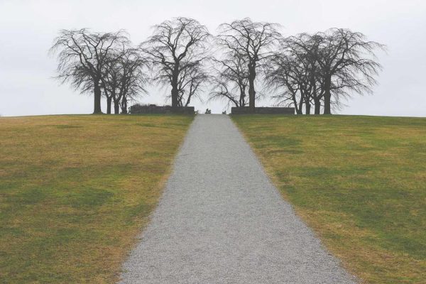 New Airport Profiles & Case Studies Innovations Transform Travel Retail