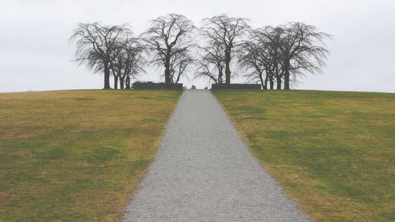 New Airport Profiles & Case Studies Innovations Transform Travel Retail