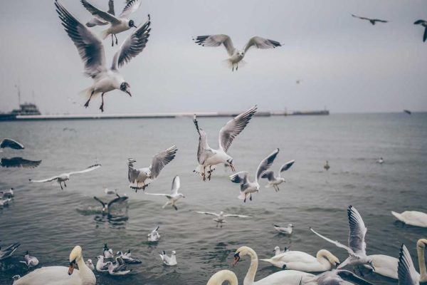 New Cruise & Ferry Retail Innovations Transform Travel Retail