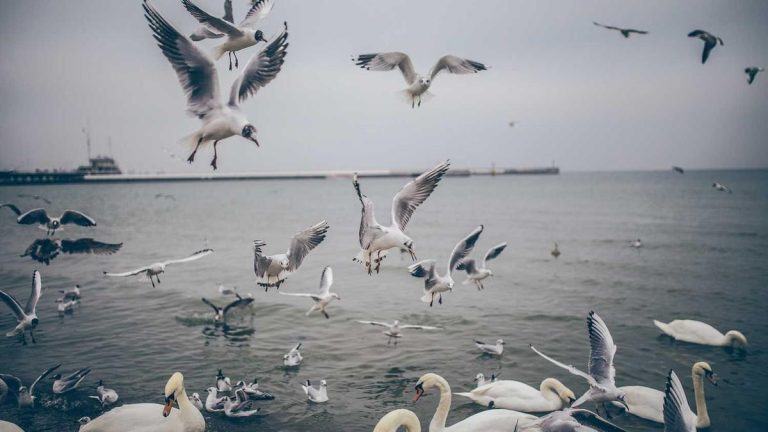 New Cruise & Ferry Retail Innovations Transform Travel Retail