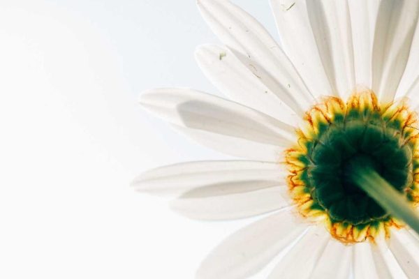 New Leadership Interviews Innovations Transform Travel Retail