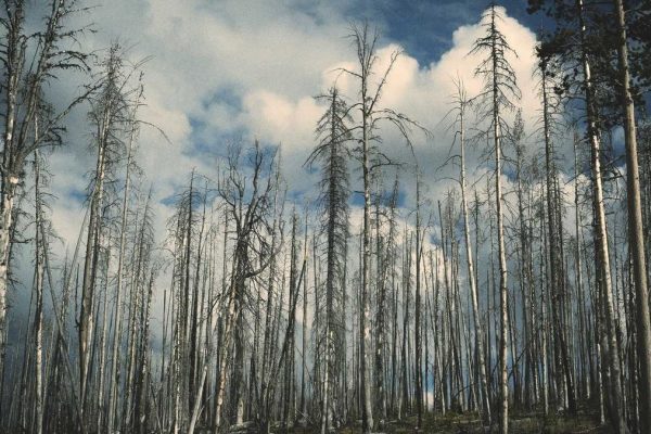 New Research: Traveller Behaviour & Spend Innovations Transform Travel Retail