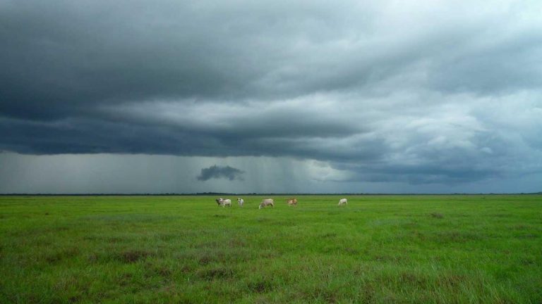 New Voices & Interviews Innovations Transform Travel Retail