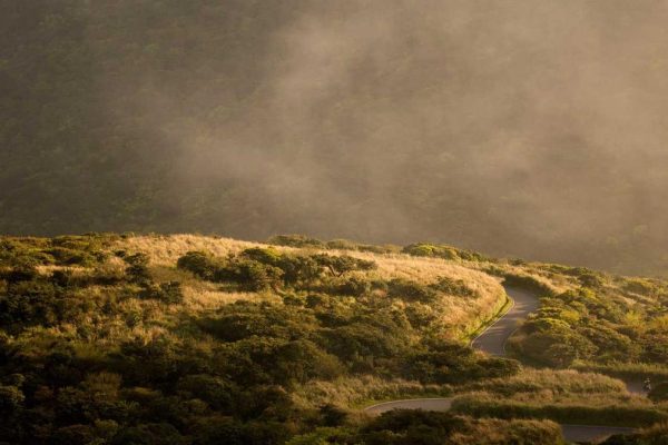 New York JFK Airport Unveils Enhanced Short Videos & Reels Experience