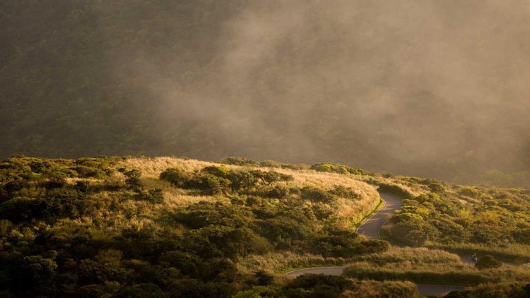 New York JFK Airport Unveils Enhanced Short Videos & Reels Experience