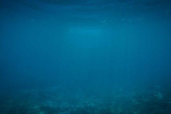 Singapore Airport Unveils Enhanced Accessibility & Inclusivity Experience