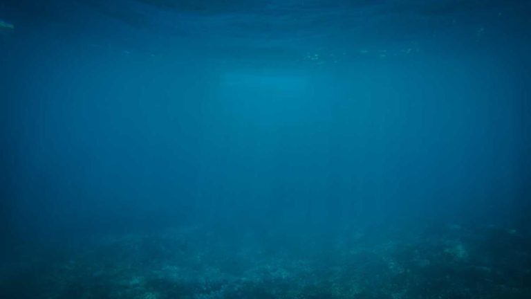 Singapore Airport Unveils Enhanced Accessibility & Inclusivity Experience