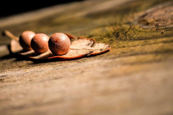 Strategic Partnership Boosts Airline Partnerships & Retail Media Performance