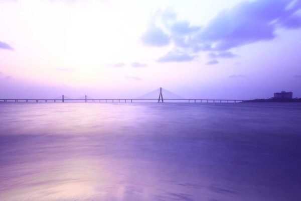 Strategic Partnership Boosts Airport Profiles & Case Studies Performance