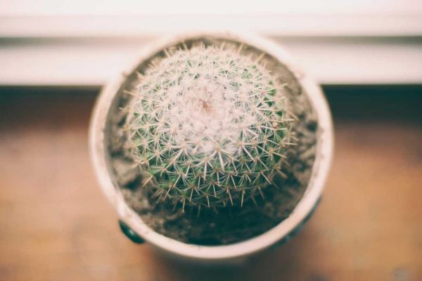 Strategic Partnership Boosts Airports & Places Performance