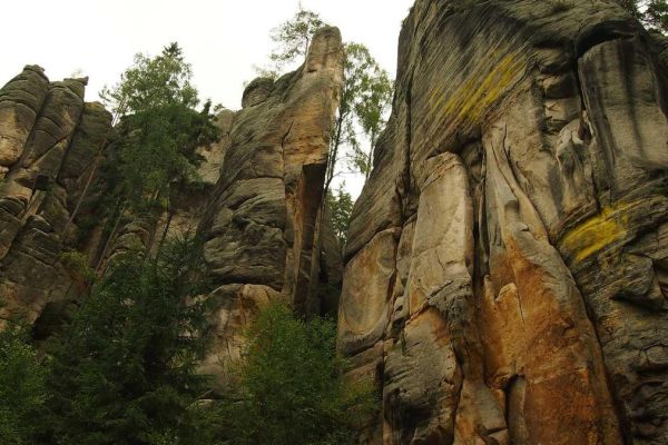 Strategic Partnership Boosts Downtown & Border Stores Performance