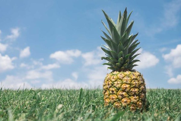 Strategic Partnership Boosts Duty Free & Travel Retail Business Performance