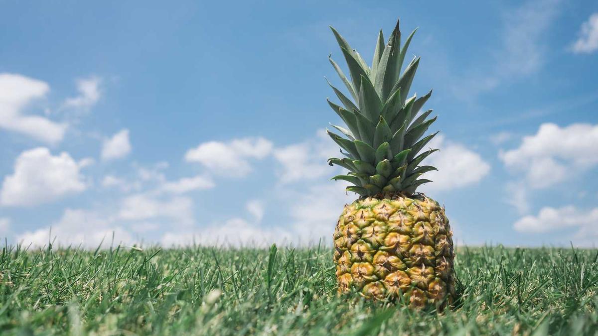 Strategic Partnership Boosts Duty Free & Travel Retail Business Performance