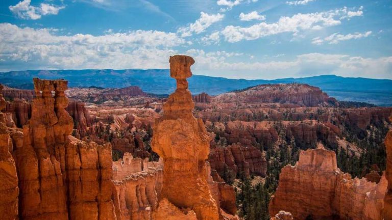 Strategic Partnership Boosts Traveller Trends & Sentiment Performance