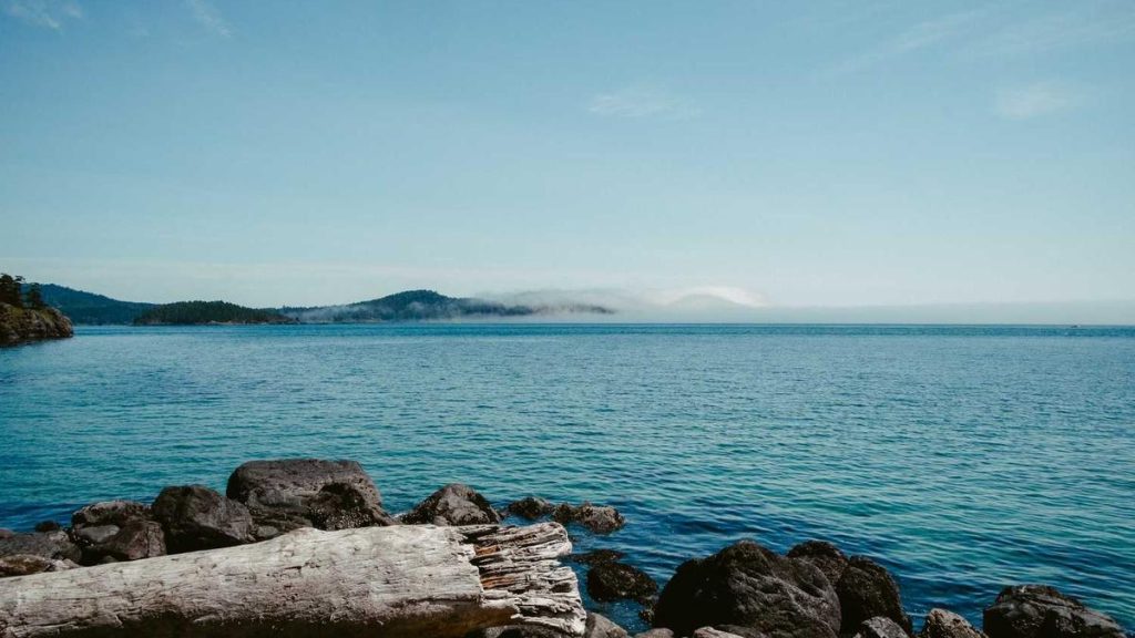 Event Sessions & Panels