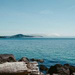 Event Sessions & Panels