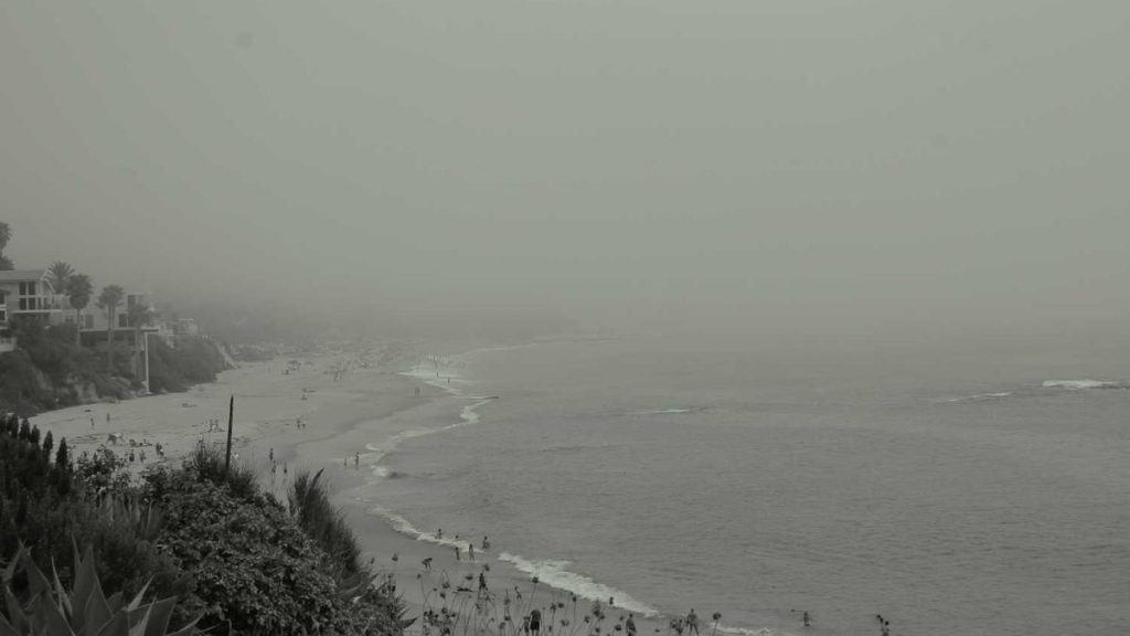 Food-to-Go & Convenience