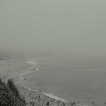 Food-to-Go & Convenience