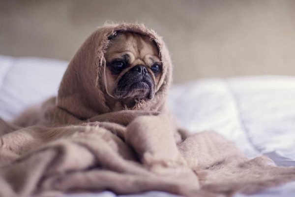 Industry Leaders Discuss Future of All Headlines