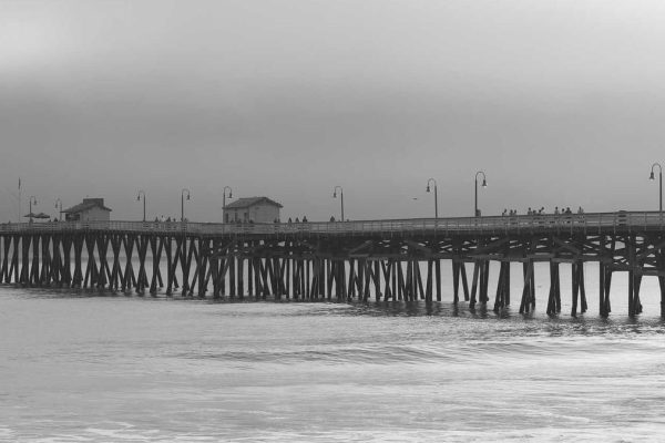 Industry Leaders Discuss Future of Event Sessions & Panels